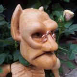 Boudewijnus, the house elf.
